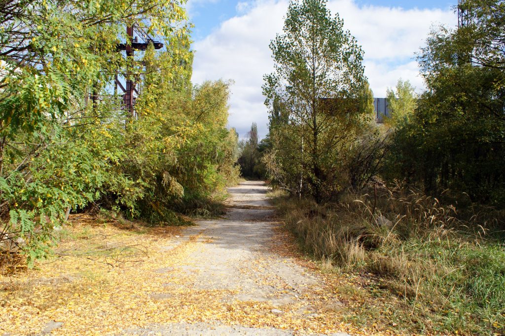 Plac budowy bloku reaktorów nr 5 i 6 / Fot. Tomasz Róg