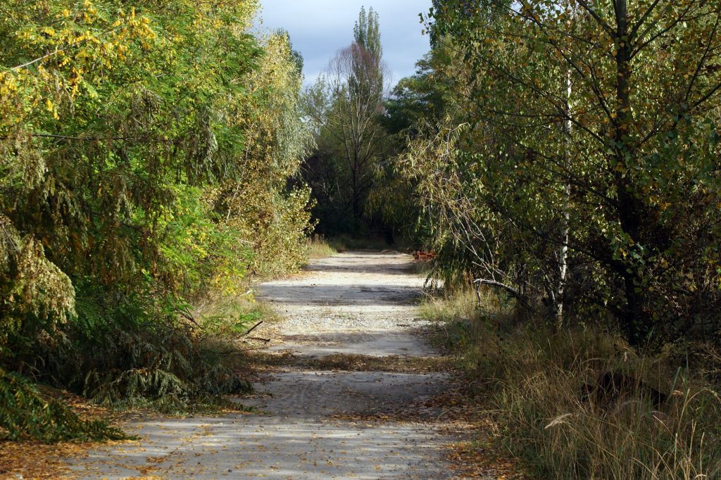 Plac budowy bloku reaktorów nr 5 i 6 / Fot. Tomasz Róg