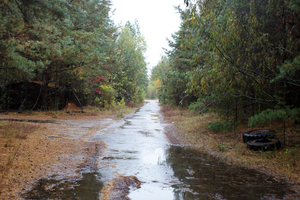 Prypeć / Fot. Tomasz Róg