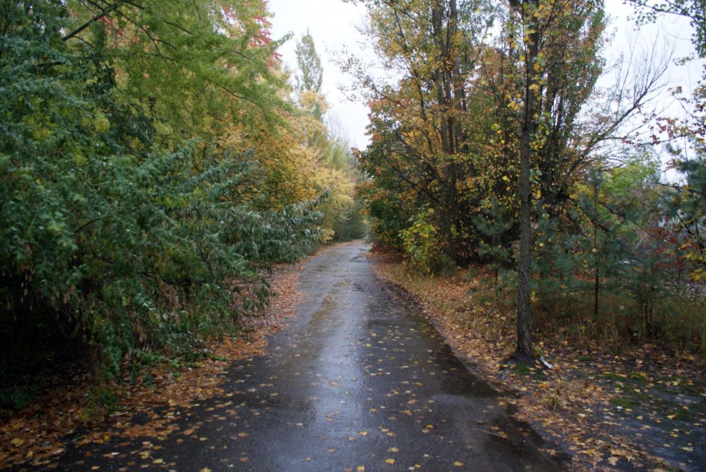 Prypeć / Fot. Tomasz Róg