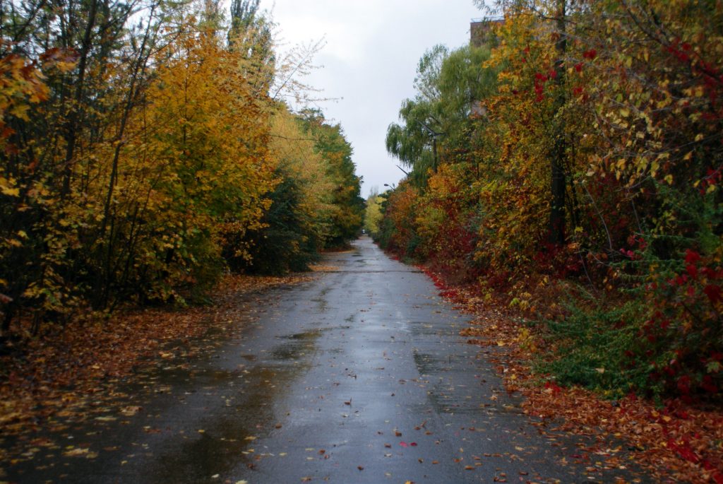 Prypeć / Fot. Tomasz Róg