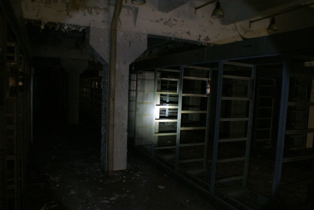Fot. Tomasz Róg