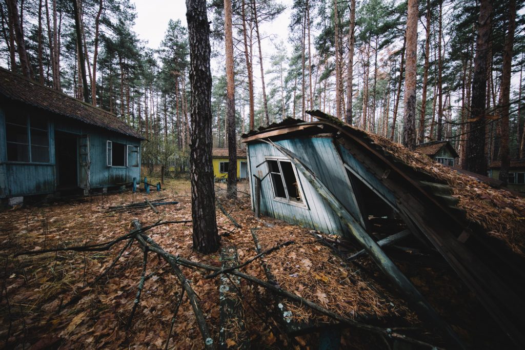 Fot. Filip Chlebda / TVN Turbo