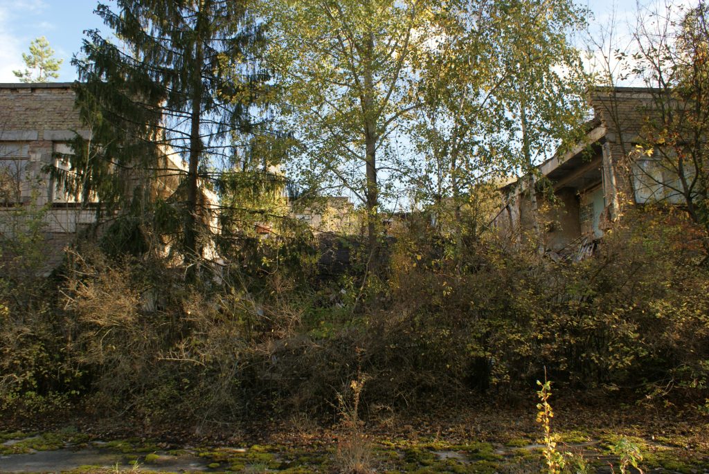 Fot. Tomasz Róg