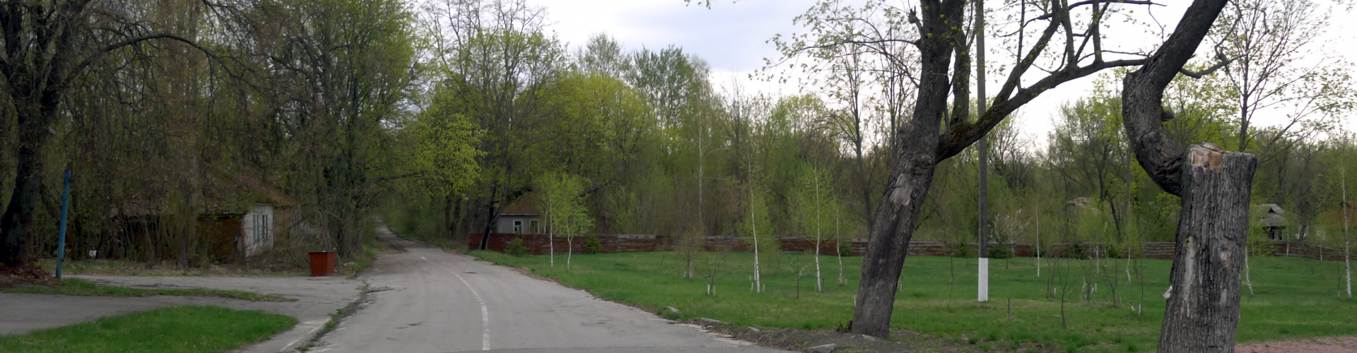 Jedna z ulic w Czarnobylu / Fot. Tomasz Róg