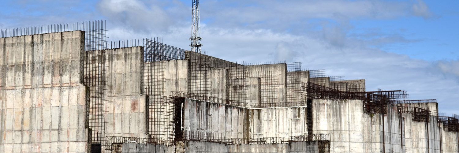 Fot. Andrzej Bryśkiewicz