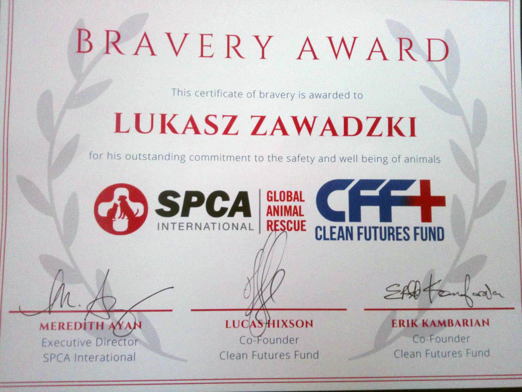 Fot. Łukasz Zawadzki