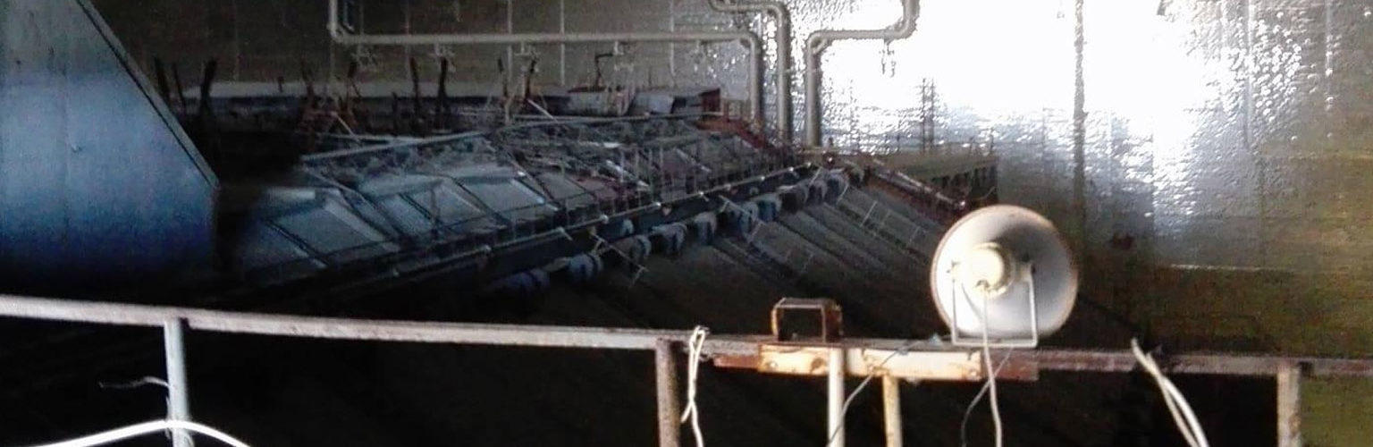 Fot. Łukasz Zawadzki