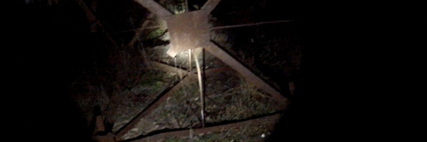 Fot. Staszek (stalker)