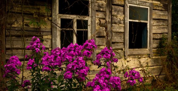 Fot. Denis Wiśniewski / dazv.gov.ua