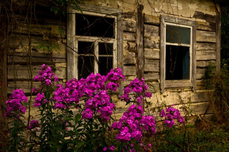 Fot. Denis Wiśniewski / dazv.gov.ua