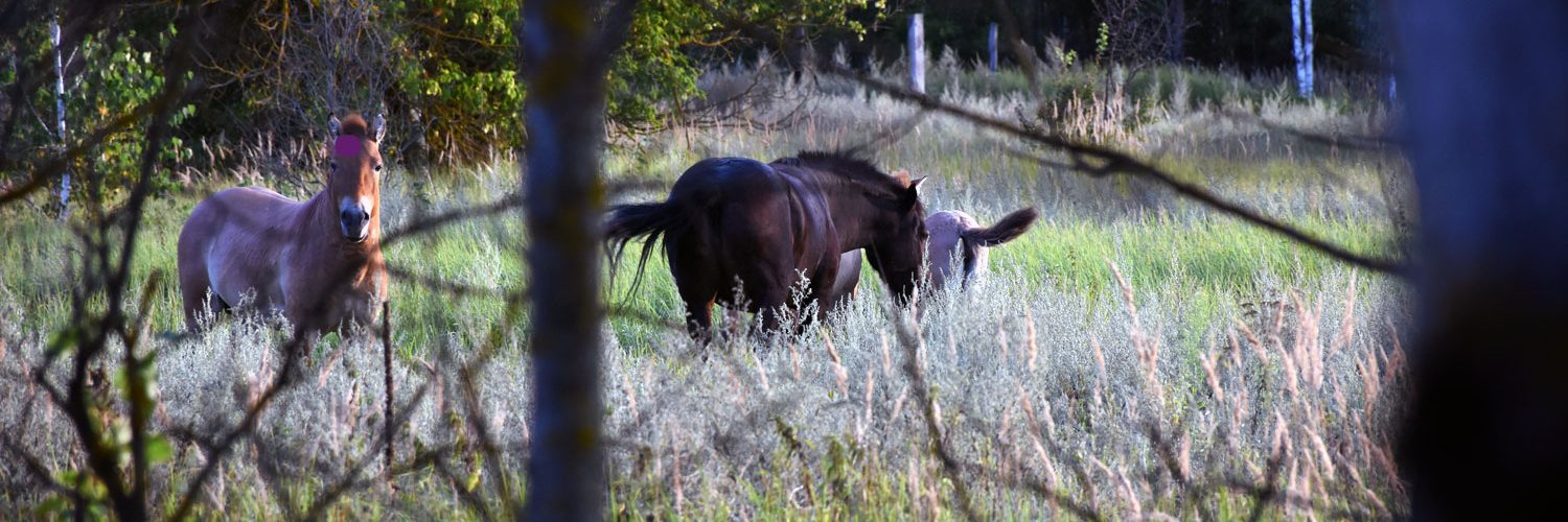 Fot. Piotr Piekarski