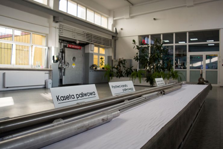 Fot. Karolina Prusińska