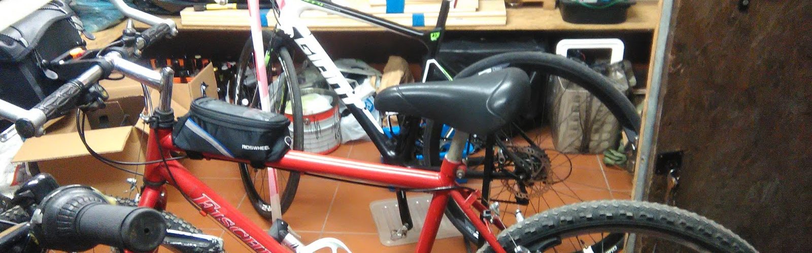 Fot. Staszek (stalker)