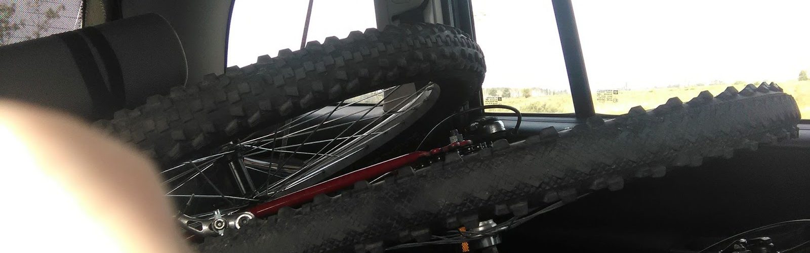 Fot. Staszek (stalker)