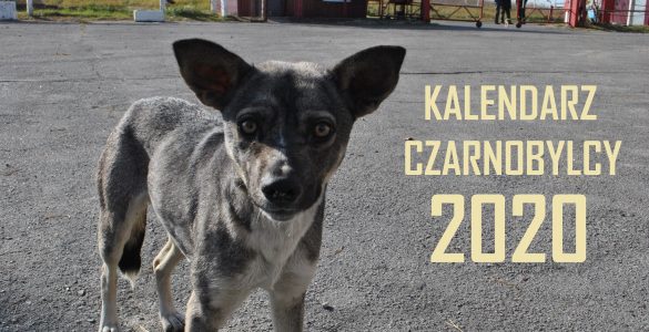 Fot. facebook.com/Czarnobylcy