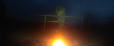 Fot. Staszek (stalker)