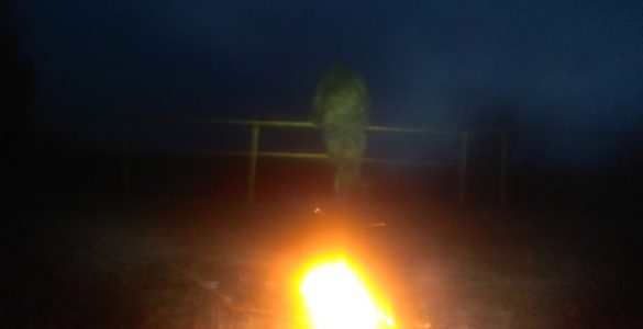 Fot. Staszek (stalker)