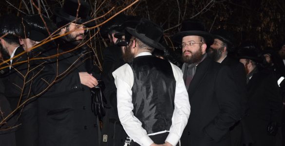 Fot. cotiz.org.ua, CC BY 4.0