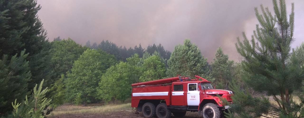 Fot. Чорнобильський Радіаційно-екологічний Біосферний Заповідник / domena publiczna