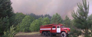 Fot. Чорнобильський Радіаційно-екологічний Біосферний Заповідник / domena publiczna