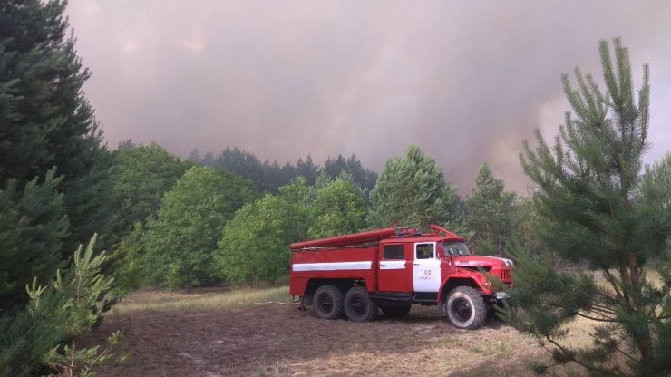 Fot. Чорнобильський Радіаційно-екологічний Біосферний Заповідник / domena publiczna