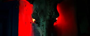 Fot. Staszek (stalker)