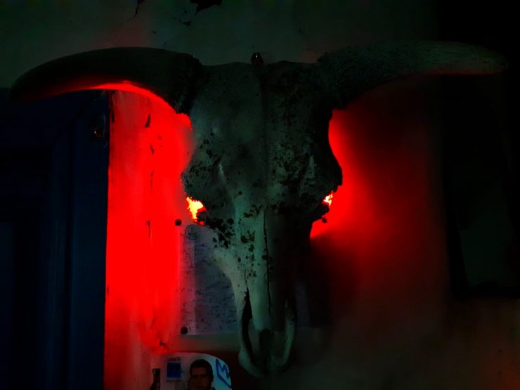 Fot. Staszek (stalker)