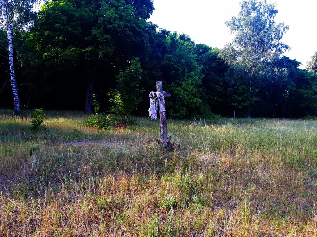 Fot. Staszek (stalker)