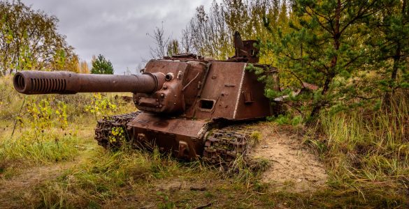Fot. Andrzej Urbański