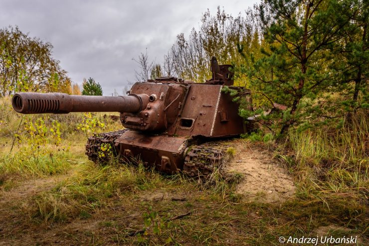 Fot. Andrzej Urbański
