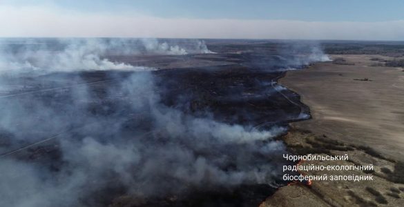 Fot. Чорнобильський Радіаційно-екологічний Біосферний Заповідник