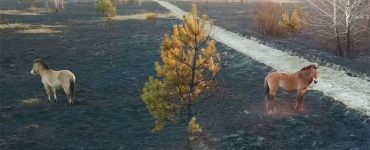 Fot. Jarosław Jemelianenko / Chernobyl Tour