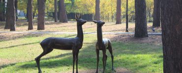 Fot. Краєзнавчий музей м. Славутича і Чорнобильської АЕС