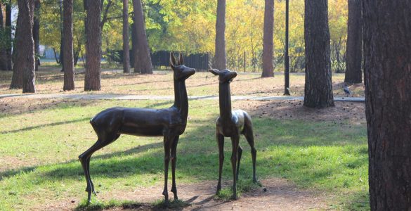 Fot. Краєзнавчий музей м. Славутича і Чорнобильської АЕС