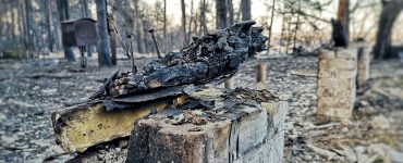 Fot. Kateryna Aslamowa / Chernobyl Tour