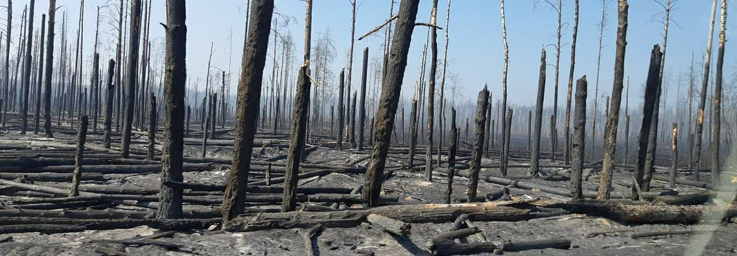 Fot. Чорнобильський Радіаційно-екологічний Біосферний Заповідник