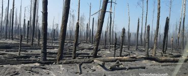 Fot. Чорнобильський Радіаційно-екологічний Біосферний Заповідник