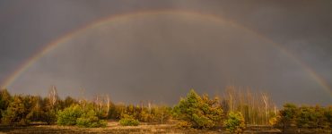 Fot. Денис Вишневский / Чорнобильський Радіаційно-екологічний Біосферний Заповідник