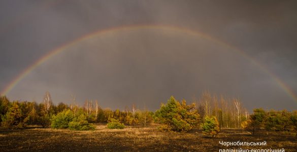Fot. Денис Вишневский / Чорнобильський Радіаційно-екологічний Біосферний Заповідник