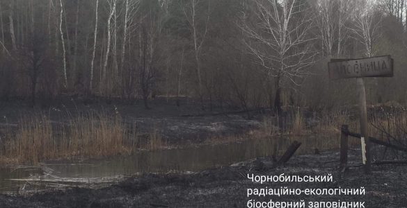 Fot. Чорнобильський Радіаційно-екологічний Біосферний Заповідник