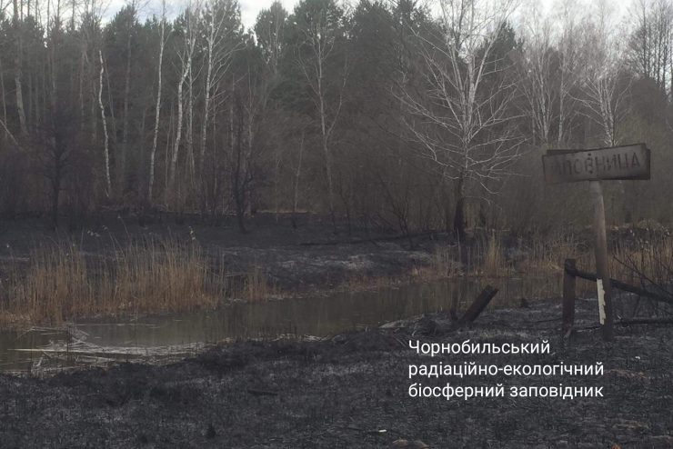 Fot. Чорнобильський Радіаційно-екологічний Біосферний Заповідник