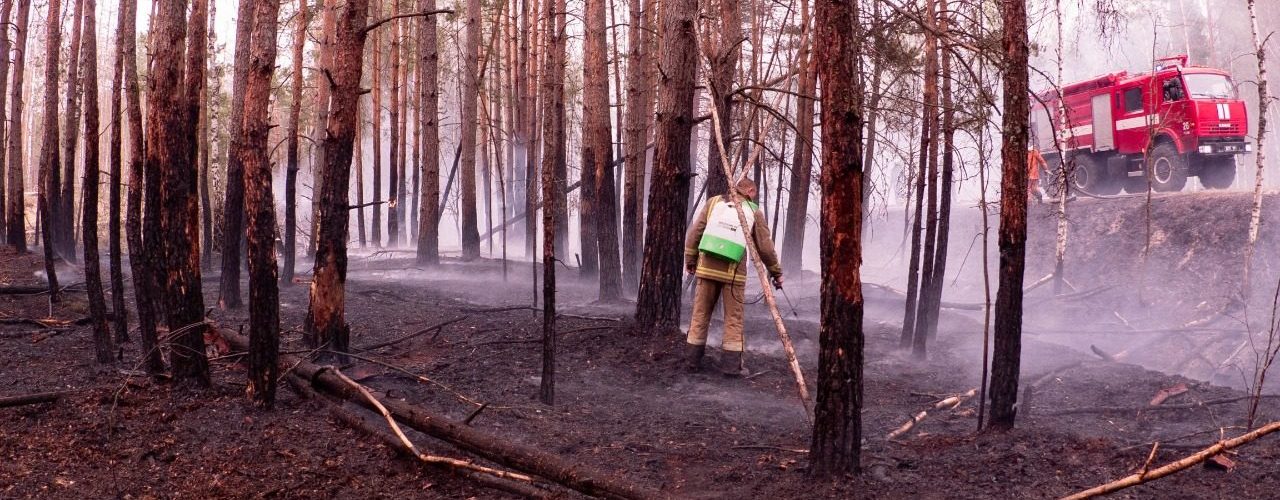 Fot. cotiz.org.ua/ CC BY 4.0