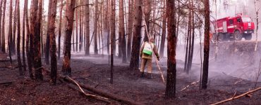 Fot. cotiz.org.ua/ CC BY 4.0