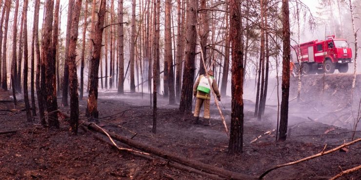 Fot. cotiz.org.ua/ CC BY 4.0