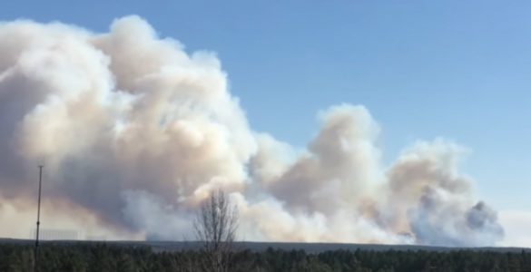 Fot. YouTube / Полесский