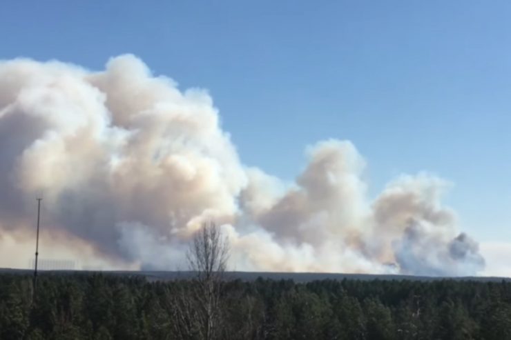 Fot. YouTube / Полесский