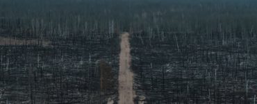 Fot. YouTube / Стас Капралов