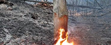 Fot. Jarosław Jemelianenko / Chernobyl Tour