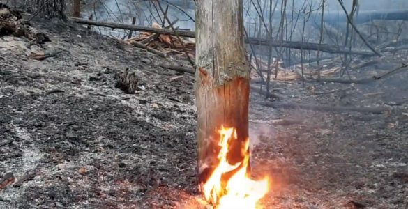 Fot. Jarosław Jemelianenko / Chernobyl Tour